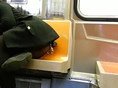 白はラテン語への独自の賛辞を受けました  ...