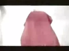 かわいい白はベッドの黒コックになります  ...