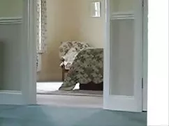 インスピレーシconvinces人見知り ...